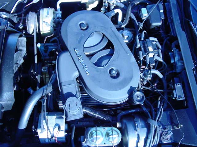 82pic14.jpg